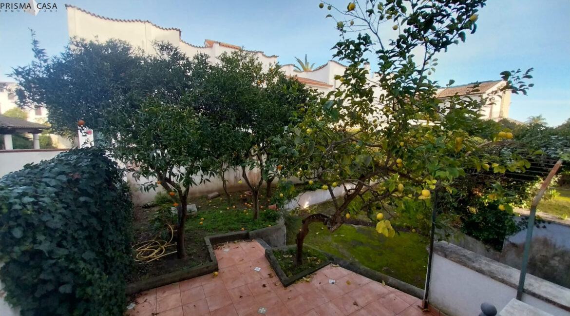 WhatsApp Image 2026-01-09 at 12.11.41 (5)