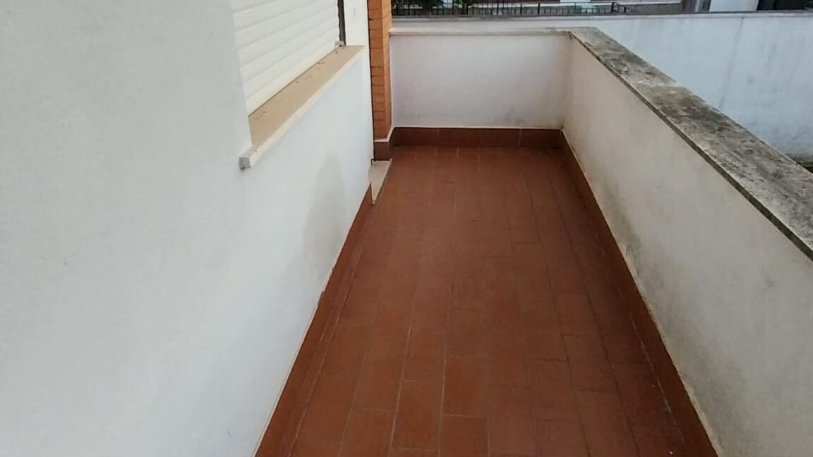 WhatsApp Image 2026-01-09 at 12.07.15