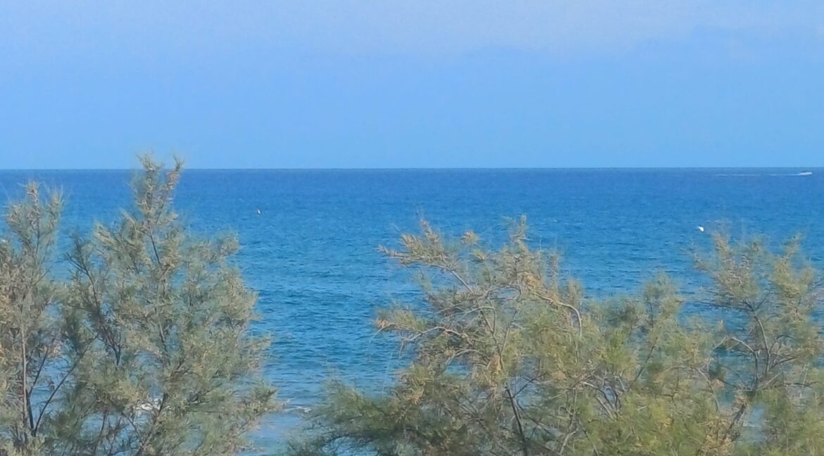 IMG-20260611-WA0035